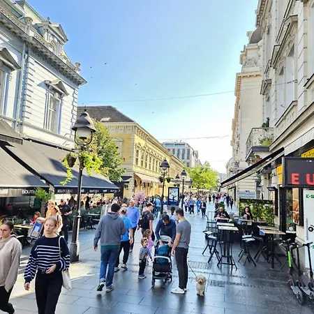 Apartmán Rajiceva *