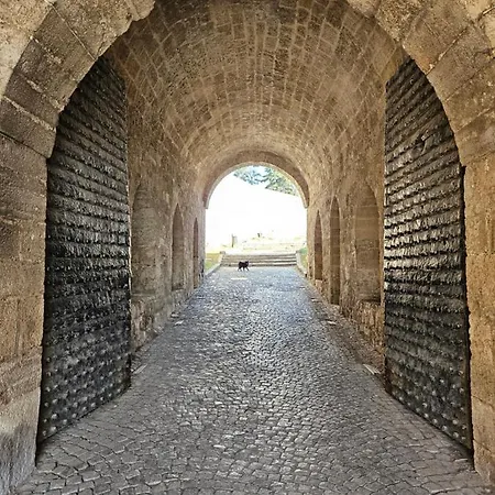 Rajiceva Appartamento