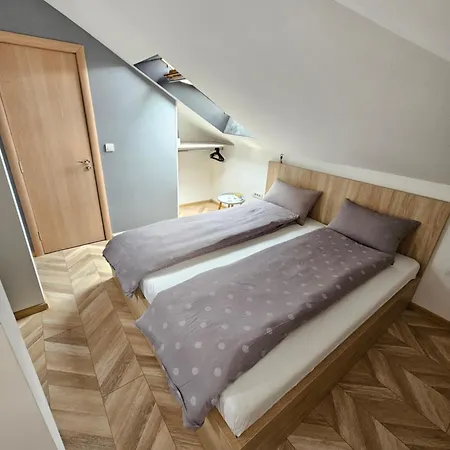Rajiceva Apartmán Bělehrad