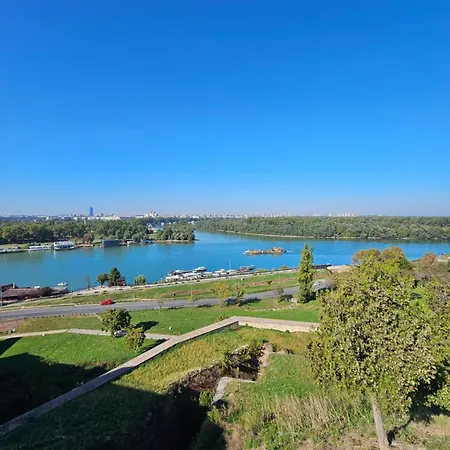 Rajiceva * 贝尔格莱德