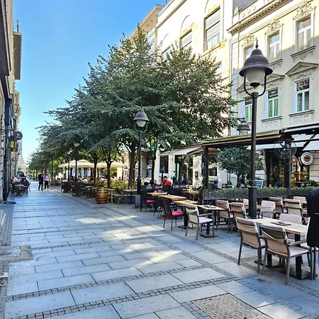 Apartmán Rajiceva *