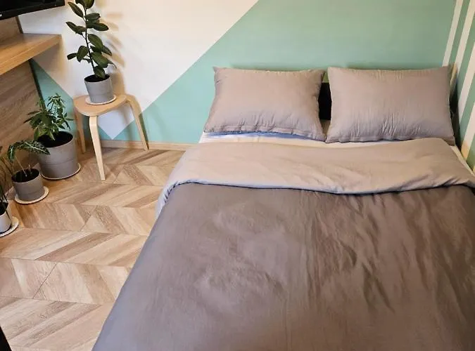 Rajiceva 公寓 贝尔格莱德