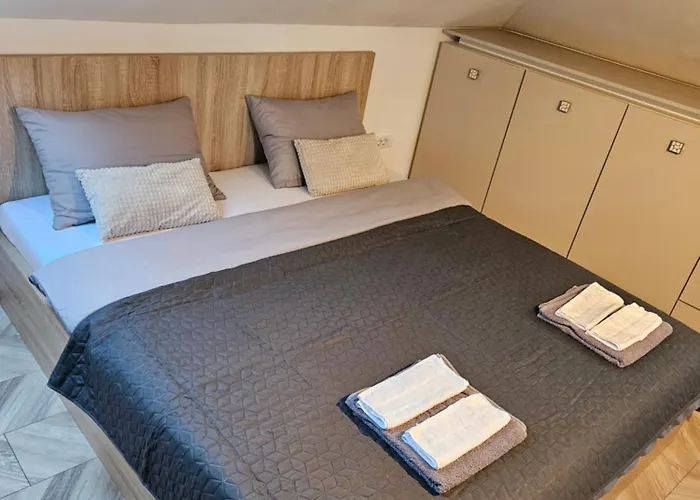 Rajiceva * 贝尔格莱德