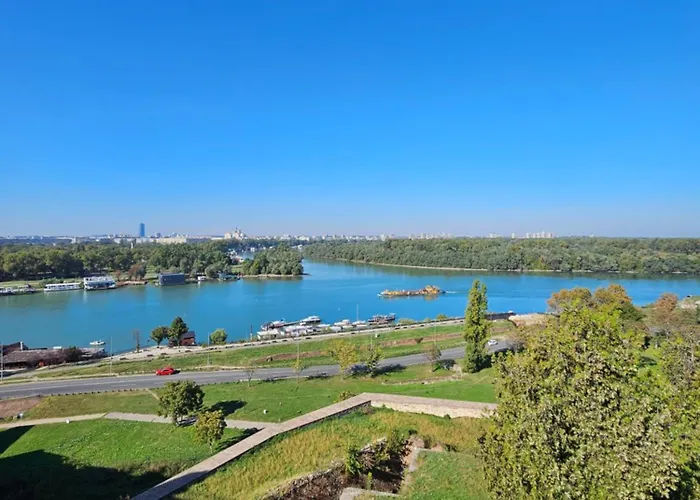 Rajiceva * 贝尔格莱德