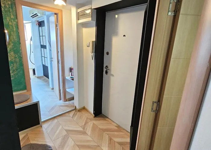 Rajiceva 贝尔格莱德